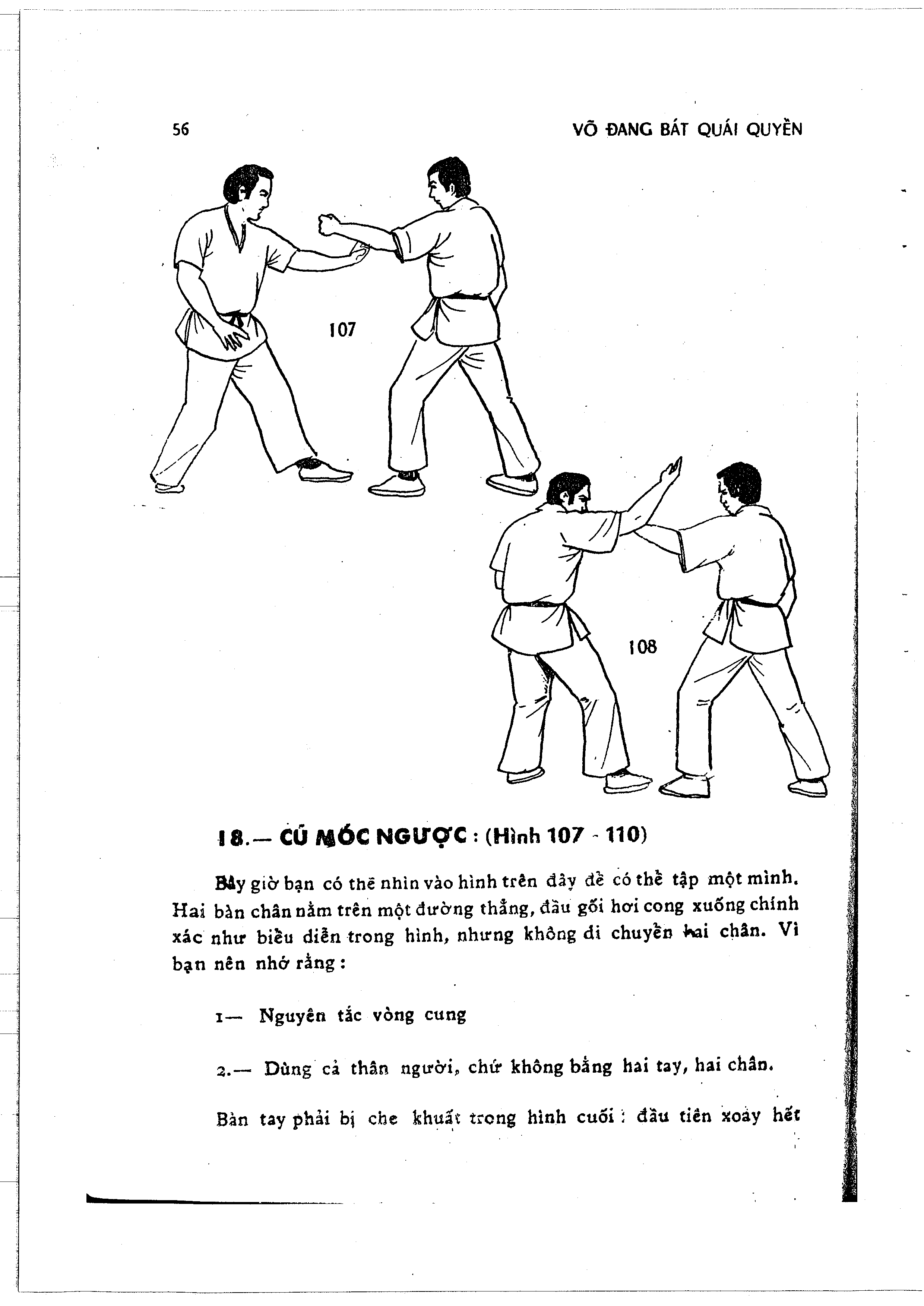 Hinh anh trang 60