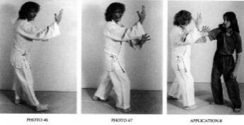 Mãnh Hổ Nhảy Ra (Fierce Tiger Jumps Out) — ảnh gốc trang 46
