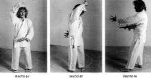 Bạch Xà Xoắn Người (White Snake Twists Body) — ảnh gốc trang 52