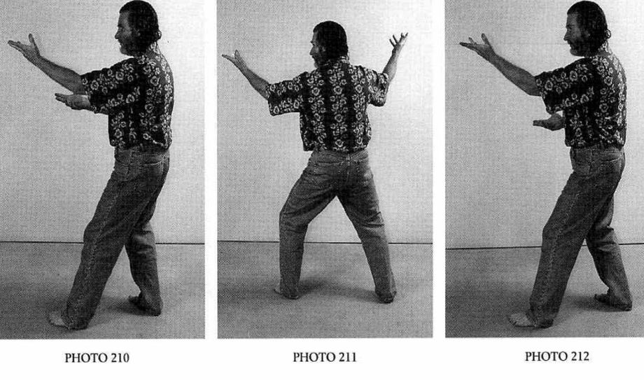 Đảo Ngược Thế Tam Chân Vàng (Take the Golden Tripod in Reverse) — ảnh gốc trang 31