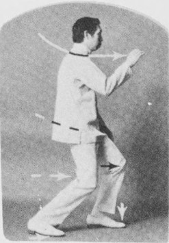 Tư thế 5