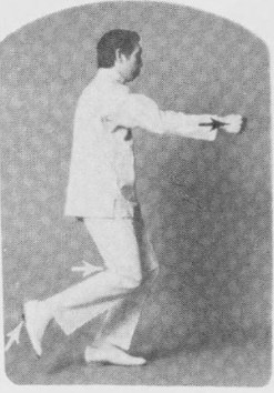 Tư thế 1