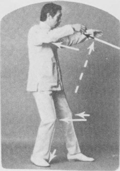 Tư thế 2