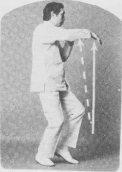Tư thế 1