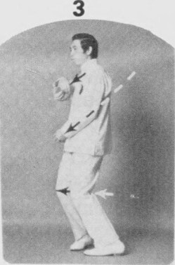 Tư thế 3
