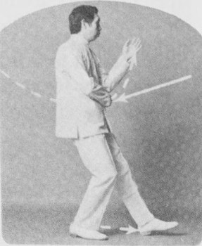 Tư thế 5