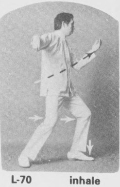 Tư thế 5
