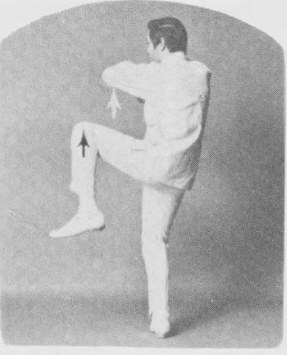 Tư thế 3