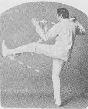 Tư thế 4