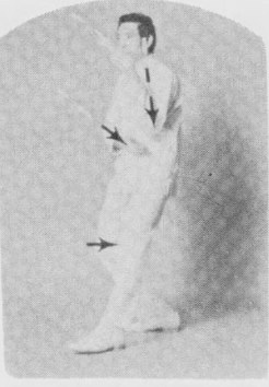 Tư thế 1