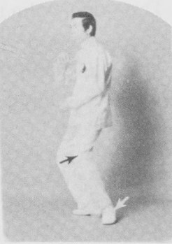 Tư thế 2