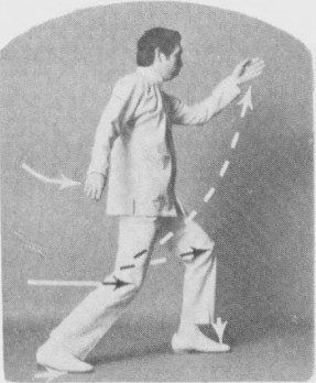 Tư thế 2