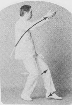 Tư thế 3