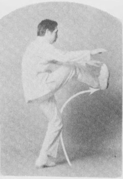 Tư thế 4