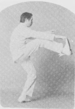Tư thế 5