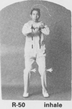 Tư thế 5