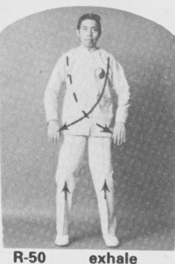 Tư thế 7