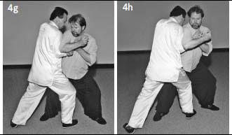 Hình minh họa 34