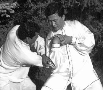 Hình minh họa 1