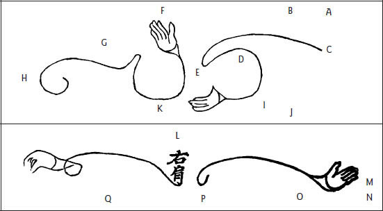 Triền ty ở tay trong Đơn Tiên