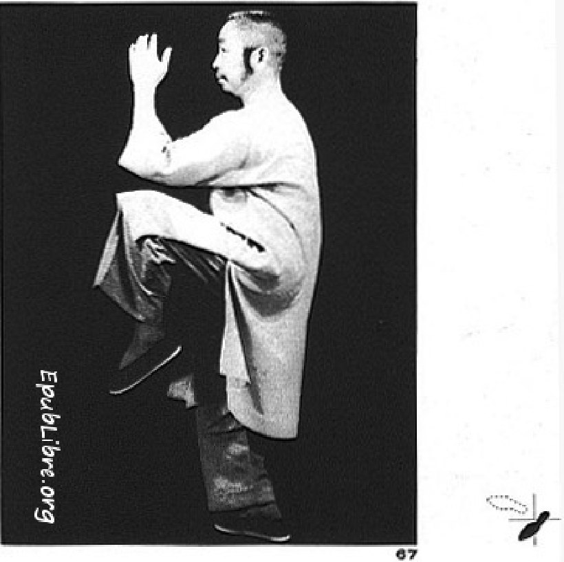 Tư thế 25 &mdash; Kim Kê Độc Lập, Phải (Ảnh 67)
