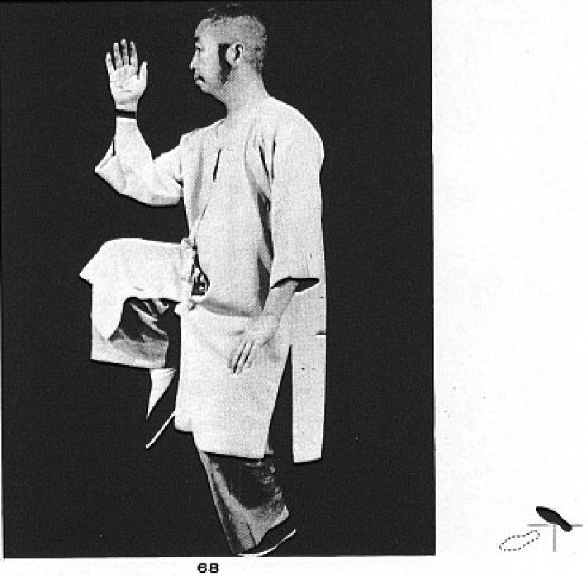 Tư thế 26 &mdash; Kim Kê Độc Lập, Trái (Ảnh 68)