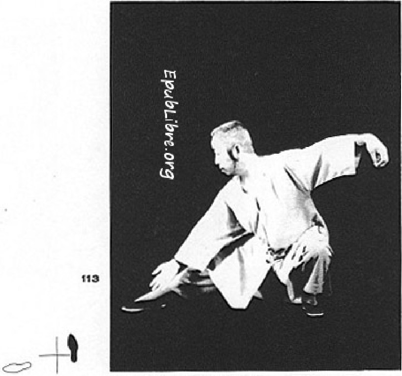 Tư thế 33I &mdash; Đan Tiên Hạ Thế (Ảnh 113)