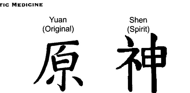 Chữ Hán của 'Nguyên Thần', Nguyên Thần