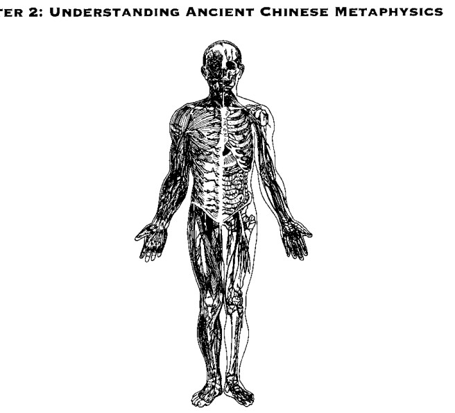 Tinh: Thể 'Vật Chất'