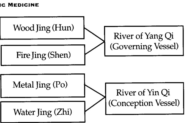 Quá trình tạo thành Âm và Dương của cơ thể