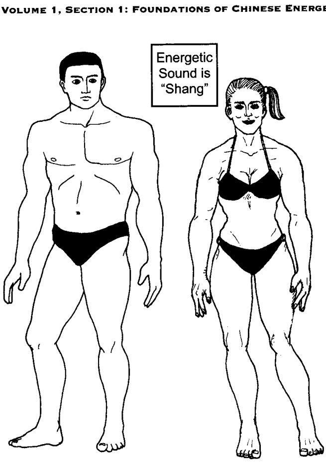 Thể chất Kim ở nam giới và nữ giới