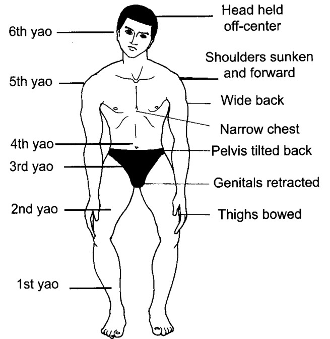 Cấu trúc hướng nội