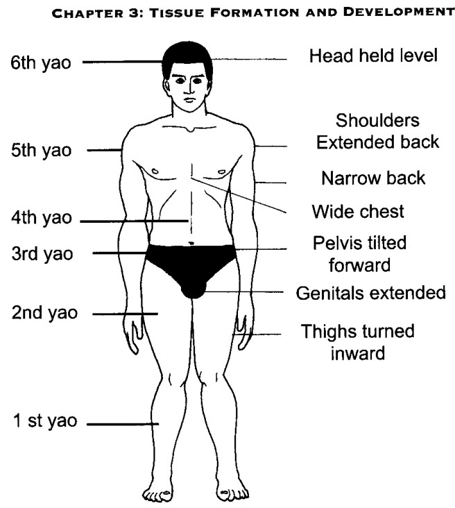 Cấu trúc hướng ngoại