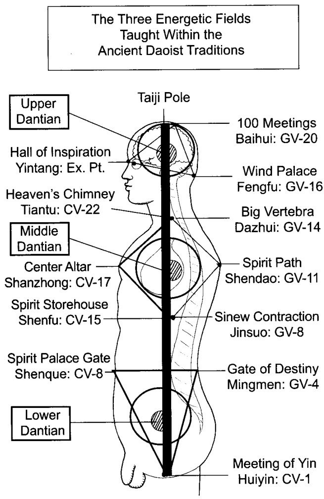Vị trí giải phẫu của Tam Đan Điền và Thái Cực Trụ theo giáo lý Đạo gia cổ đại