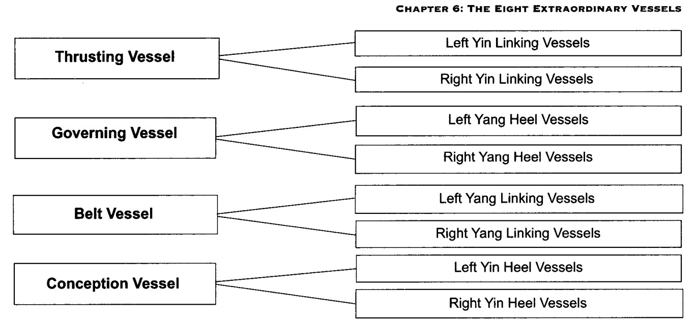 Bốn Mạch Nền Tảng nối với Tám Mạch Tạo Hình Thứ Cấp