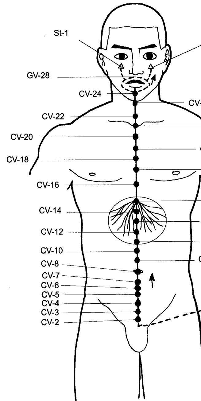 Mạch Nhâm (CV) với các huyệt trên đường đi