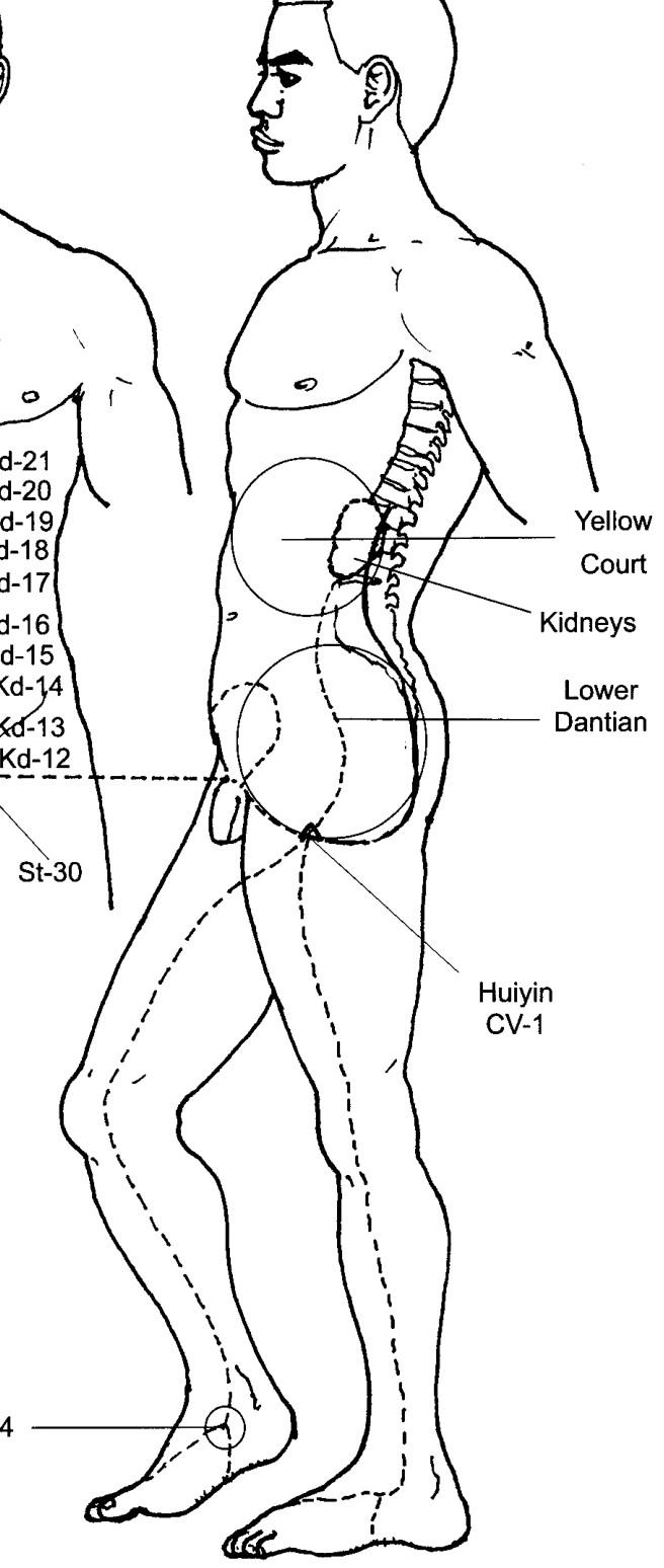 Năm nhánh năng lượng của Mạch Xung