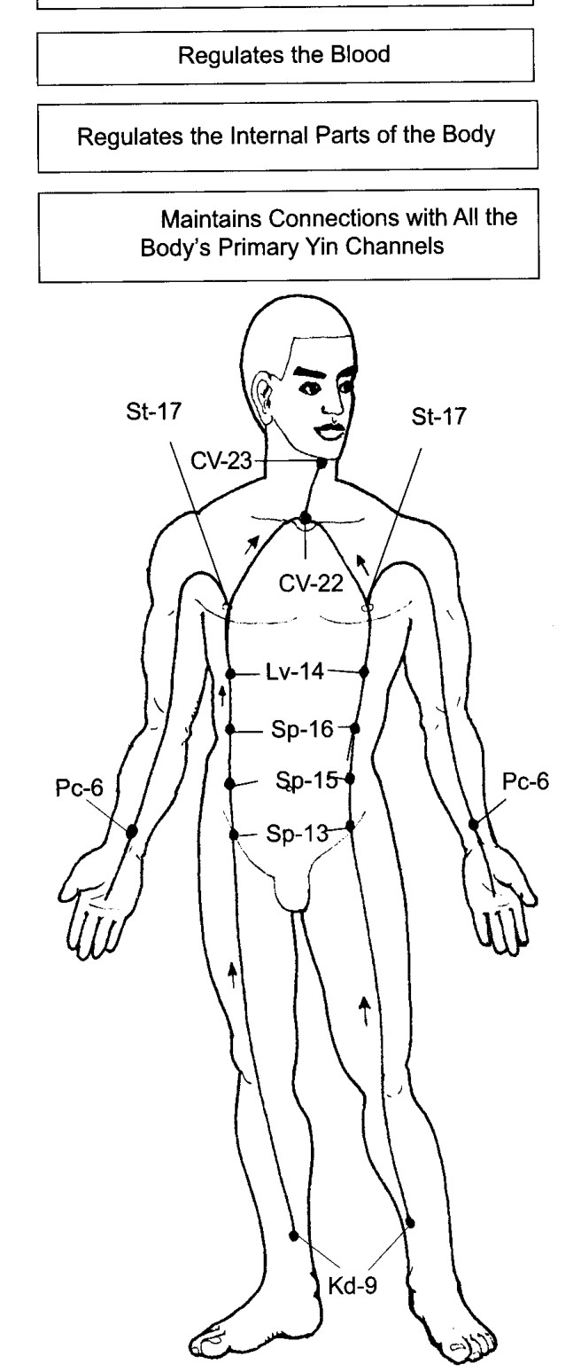 Các Mạch Duy Âm
