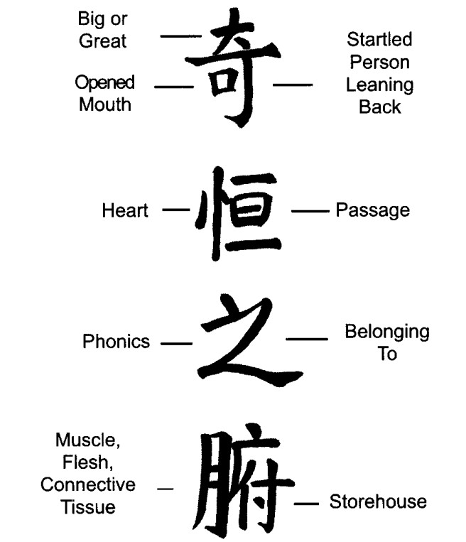 Các chữ Hán cho Khí Hằng Chi Phủ, các Tạng Kỳ Dị