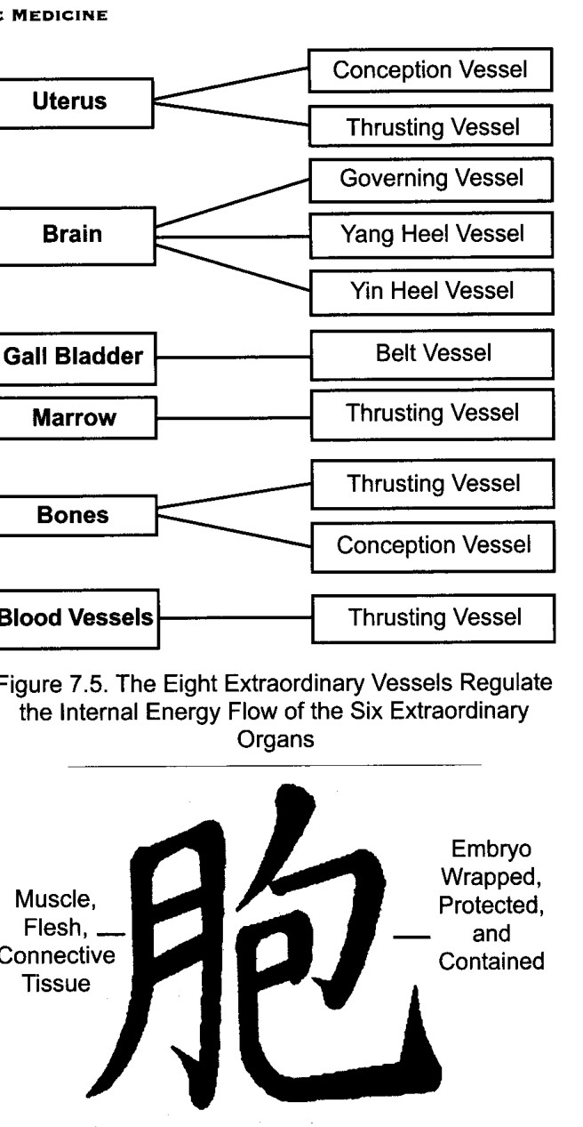 Chữ Hán cho Bào, Tử Cung