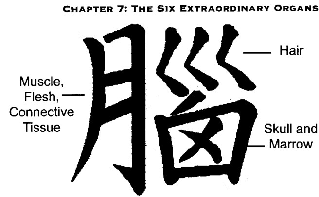 Chữ Hán cho Nao, Não
