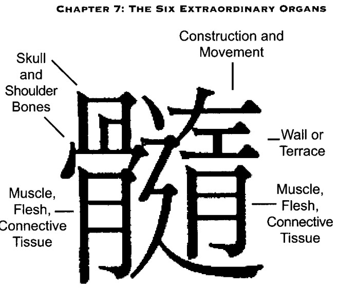 Chữ Hán của Tủy