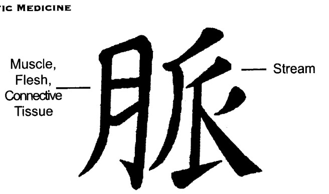 Chữ Hán của Mạch, Mạch Máu