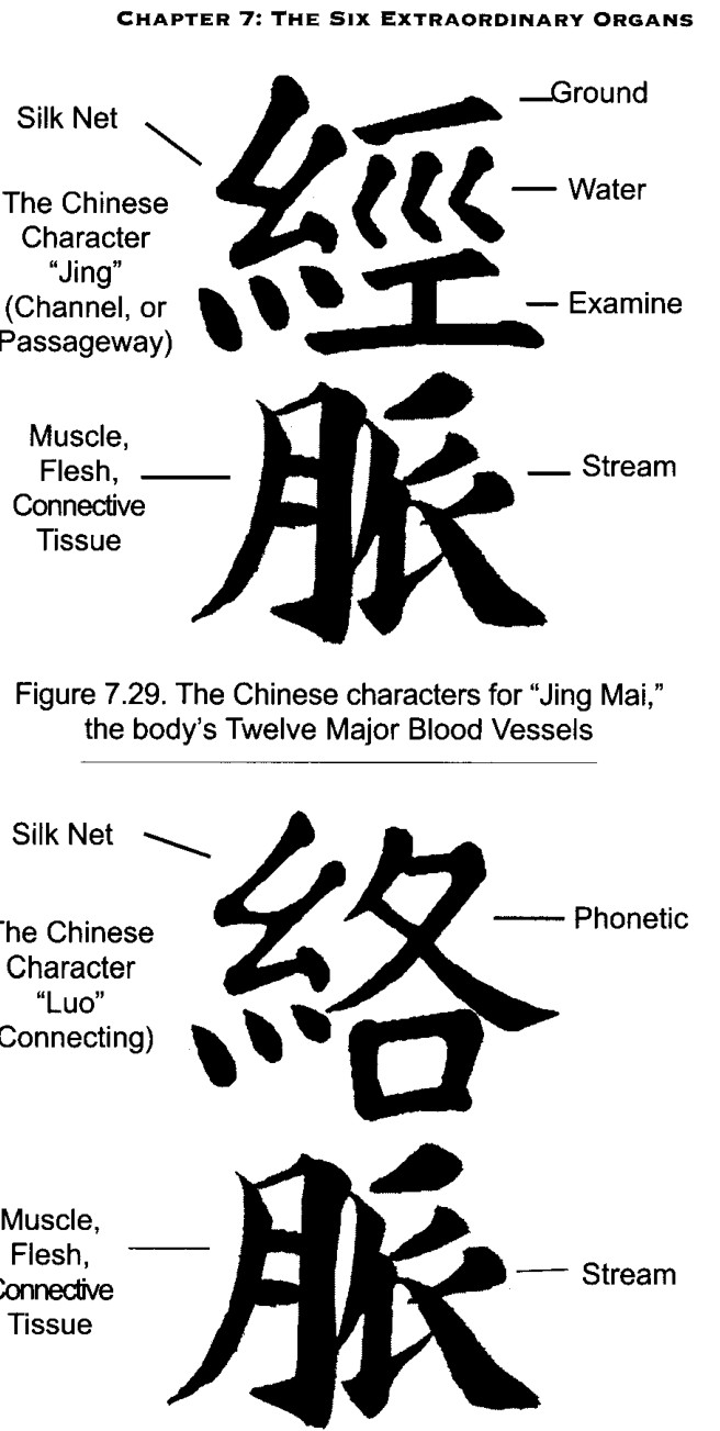 Chữ Hán của Lạc Mạch, các Dòng chảy Kết nối của cơ thể