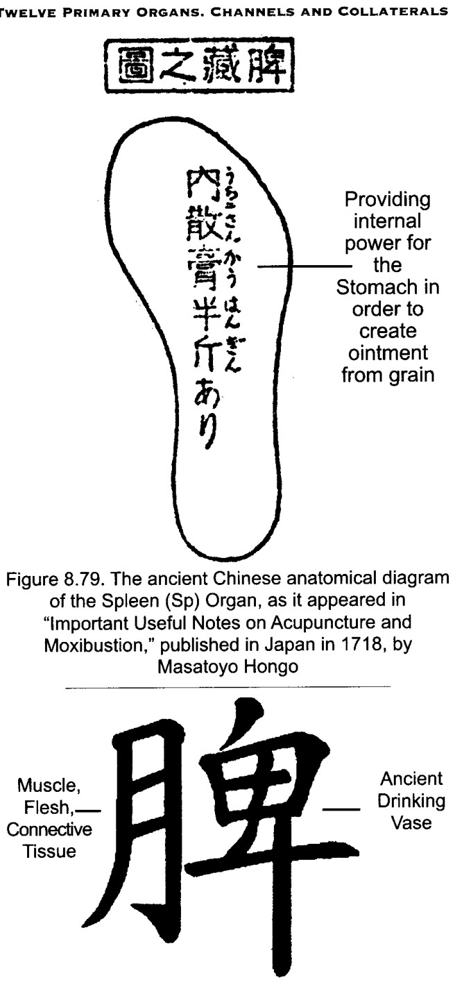 Chữ hán tý nghĩa là tỳ