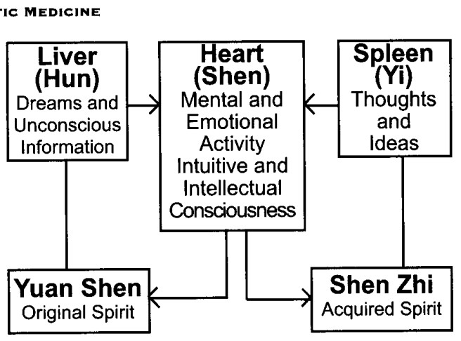 Hai cách Thần được nuôi dưỡng: Hồn, Thần, Ý