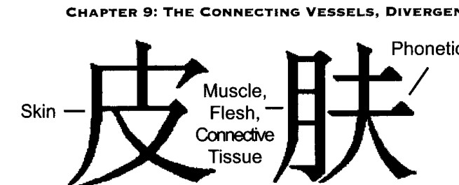 Chữ Hán 'Bì Phu' (Da), gồm phần nghĩa và phần phát âm