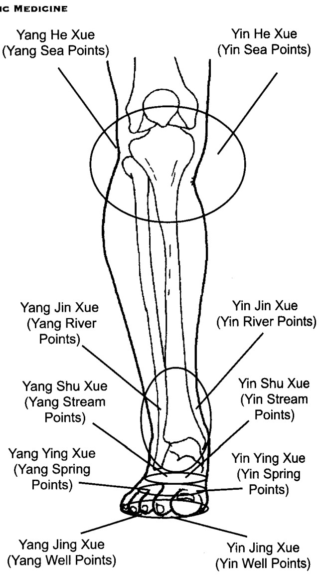 Ngũ Du Huyệt và sự tương ứng với dòng chảy kinh ở chân