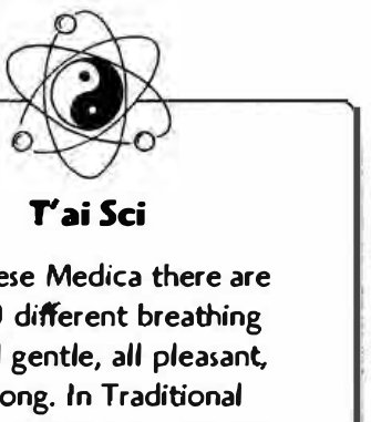 Hiệu ứng bóng ma trong ảnh Kirlian của một chiếc lá bị xé
