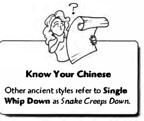 Tư thế Chuyển Tay Đơn